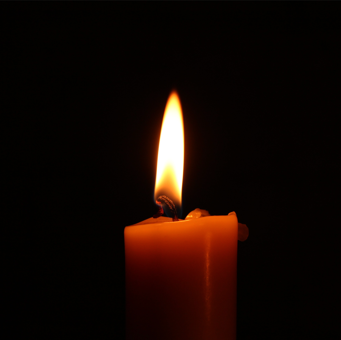 Transgender Awareness Week 🕯