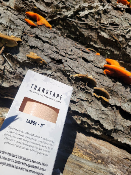 Is TransTape Right for Me?