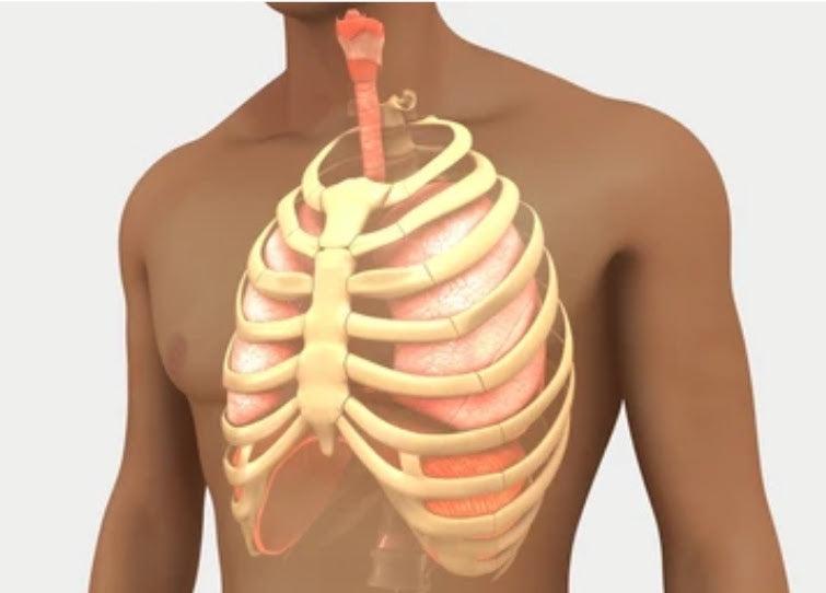 TransTape and Top Surgery