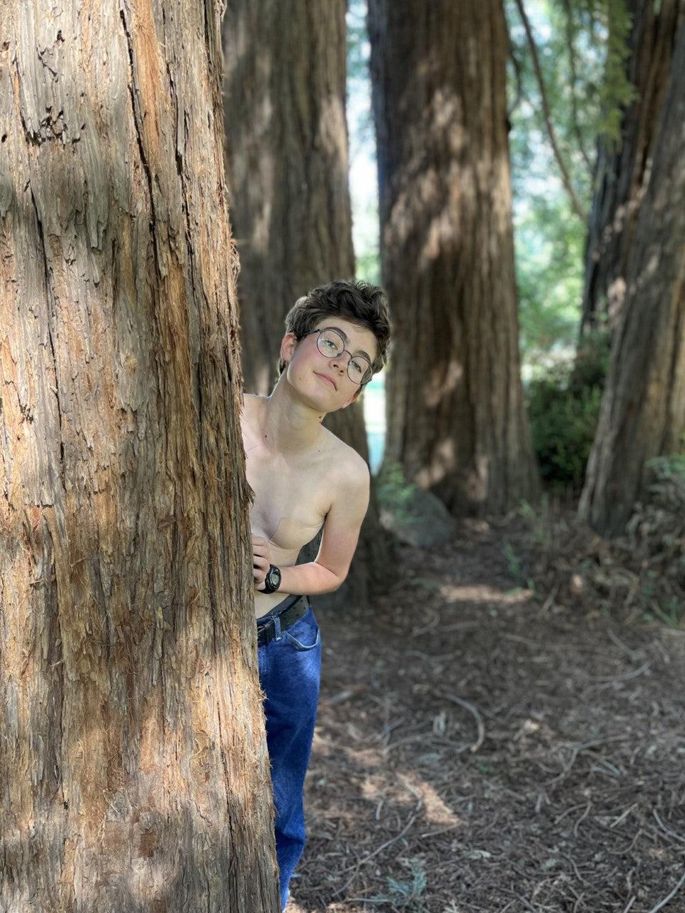 peektree.jpg__PID:cdc09b02-1199-4f20-a9a7-a38164e70e0f